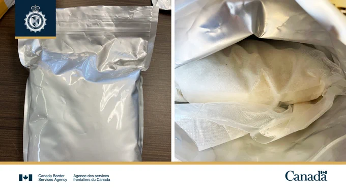 Bag of controlled and prohibited substance.   