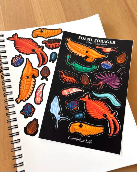 A photo showing vinyl stickers that feature illustrated Cambrian period animals from 541-485 million years ago. They are mostly unusual looking invertebrates, such as Hurdia, Waptia, Wiwaxia, Anomalocaris, Peytoia, trilobites, Marrella, Nectocaris, Hallucigenia, Opabinia, Plectronoceras, Lyrarapax, and Naraoia. An early chordate (Pikaia) is also included. The animals are brightly colored on a dark black vinyl background and stuck to a sheet of white notebook paper.