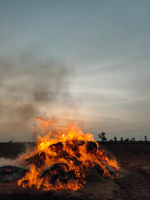 Captivating scene of a large outdoor fire blazing in the evening light with smoke rising.