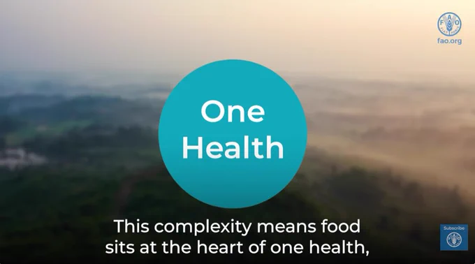 A still from the video entitled "When Everything’s Connected: One Health for Food Safety." The text appears "This complexity sits at the heart of One Health..." appears in the still.