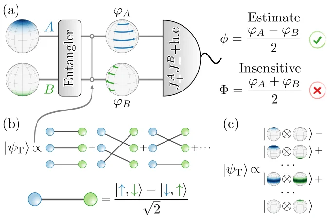 Figure showing the differential phase sensing protocol in three parts. The top schematic shows how the atoms in ensembles are initially in their excited ground states, shown by globes with colorful areas on one of the poles. An entangler is applied, causing each to acquire a distinct phase, shown by horizontal arrows on the globes. Then a joint measurement estimates the differential phase for each. The second schematic shows the target state after the entangling process, which is an entangled Lieb-Mattis state. The last part of the figure shows the Wigner distributions represented by globes with colorful areas and alternating signs of all Dicke-state combinations.