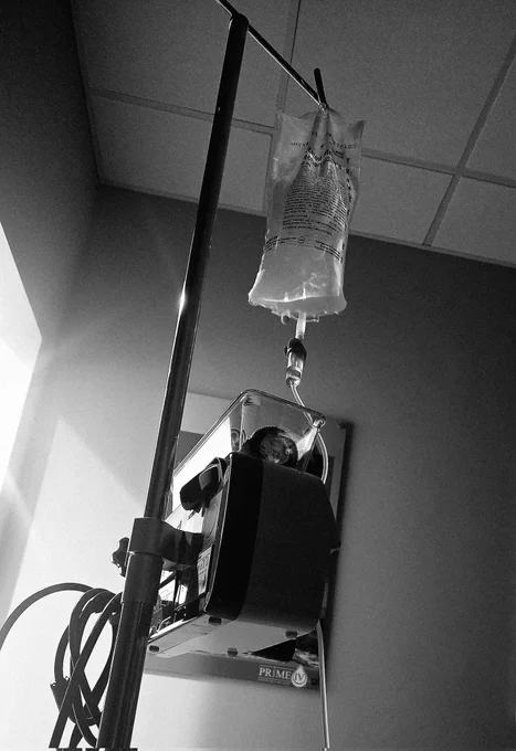 IV bag hanging from stand