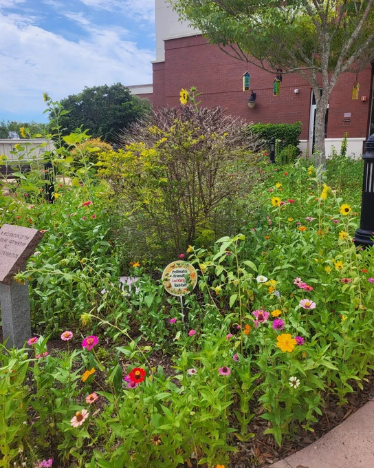 A vibrant garden with a variety of wildflowers and a sign indicating it's a pollinator-friendly habitat. The scene conveys a connection to nature and biodiversity.