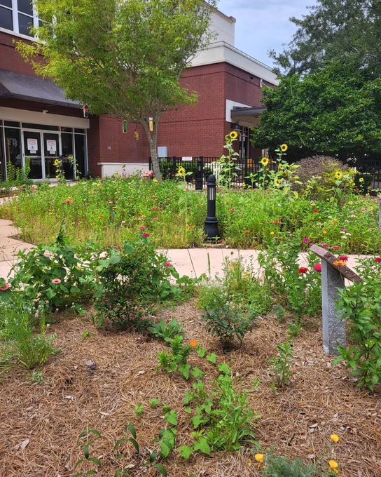 A vibrant community garden in front of a building, with sunflowers and other blooms. The scene is peaceful and natural.