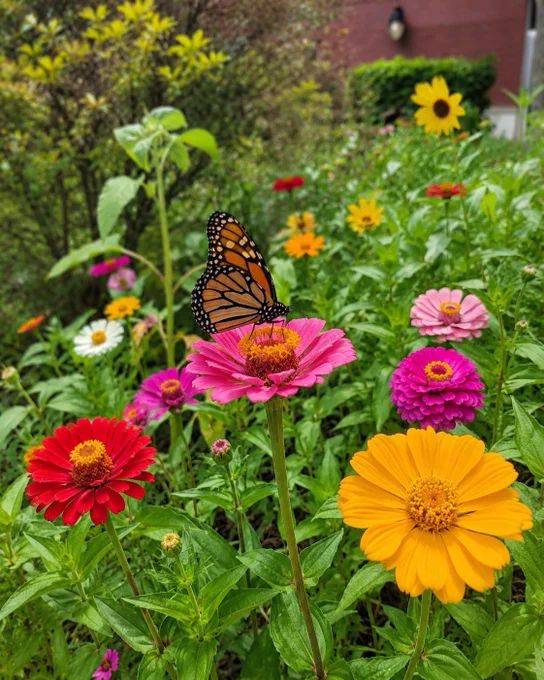 A vibrant garden scene featuring a butterfly perched on a pink flower amidst a variety of colorful blooms. The mood is serene and lively, capturing the beauty of nature.