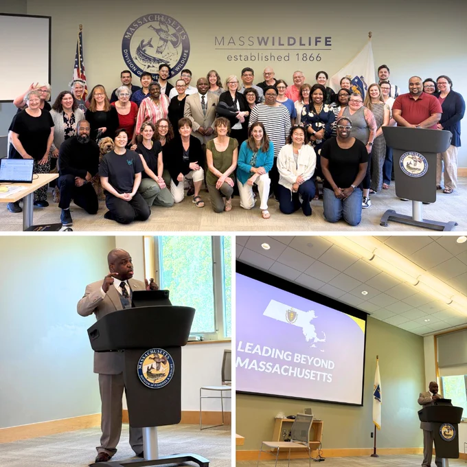 Three photo montage depicting MCDHH's all staff meeting at MassWildlife. The top photo features all of MCDHH's staff smiling in a conference room at MassWildlife in front of a wall with the MassWildlife logo. The bottom two photos feature MCDHH Commissioner Sotonwa presenting at a podium in front of a screen which shows the text "Leading Beyond Massachusetts."