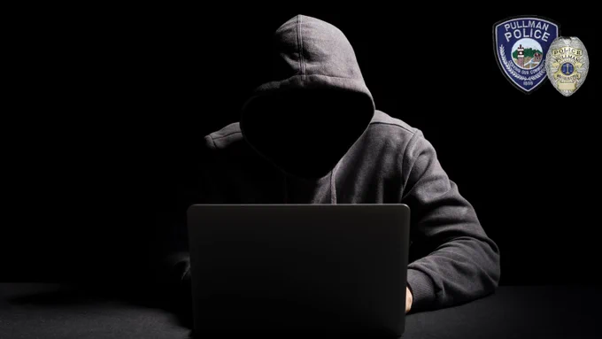 A dark, hooded figure sits behind a laptop computer.