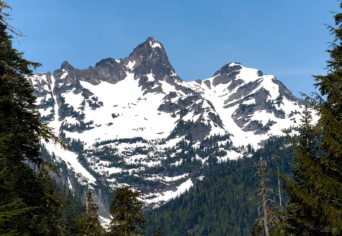 A landscape photograph of a rugged mountain peak under a clear blue sky. The center of the image is dominated by a sharp, rocky summit surrounded by smaller crags and broad snowfields spread across the upper slopes. Dark evergreen forest fills the lower part of the frame, with taller trees framing both sides of the image. The contrast between bright snow, gray rock, and deep green forest gives the scene a crisp alpine feel. The photo feels strong, quiet, and grounding, like standing still in front of a mountain that demands your attention.