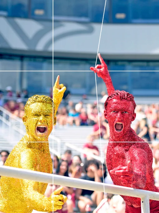 Two individuals covered in glitter, one in gold and the other in garnet, energetically pose and cheer in Doak Campbell Stadium. A crowd is visible in the background. The classic "rule of thirds" lines are spaced on top of them, but adjusted in a quirky way to fit the subjects inside the center.