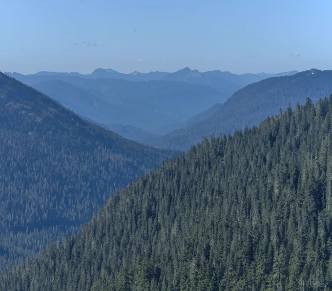 A telephoto landscape view looking across layered forested ridges in the Cascade Mountains. Dense evergreen trees fill the foreground slope, while darker and lighter mountain ridges recede into the distance through a soft blue haze. Far on the horizon, small snow-dusted peaks and jagged ridgelines appear beneath a pale blue sky with a few tiny clouds. The scene has a quiet sense of depth, distance, and scale. The photo makes me feel calm and drawn into the vastness of the mountains.