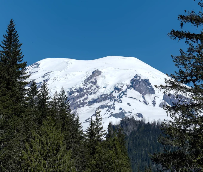 A landscape view of Mount Rainier rising behind a dense evergreen forest under a clear deep blue sky. Tall fir trees frame the scene on the left and right edges, with more evergreens filling the lower foreground. The upper slopes of Mount Rainier are covered in bright white snow, with exposed dark rock faces and glacier textures visible across the mountain. The contrast between the dark green forest, white snow, and blue sky creates a crisp alpine feel. The image feels peaceful and grand, like finding a quiet opening in the trees and suddenly seeing the mountain appear.