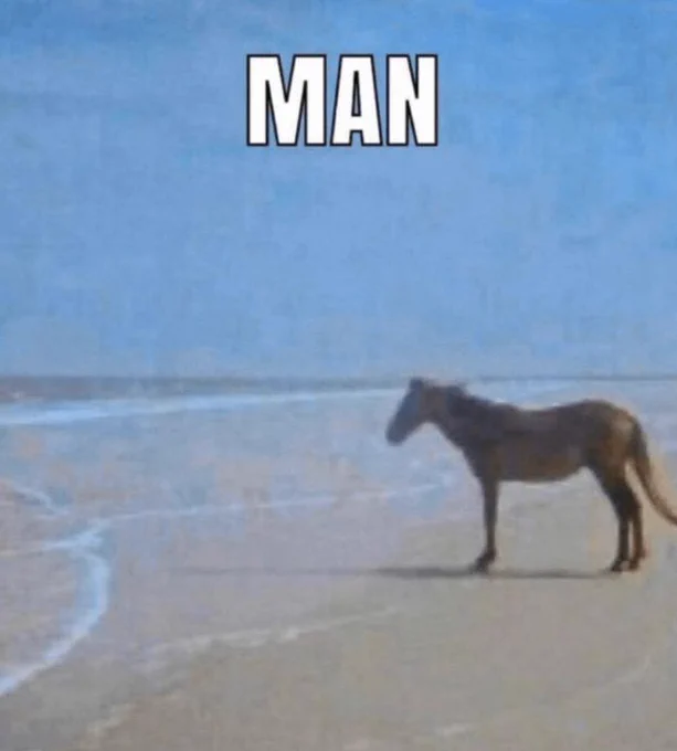 horse staring out to sea. caption says man.