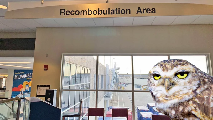 owl sitting in the back of the checkpoint meme