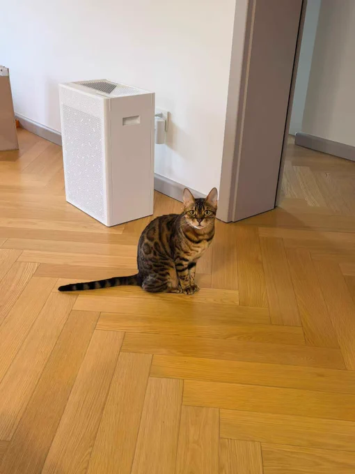 Air purifier with a cat sitting beside it.