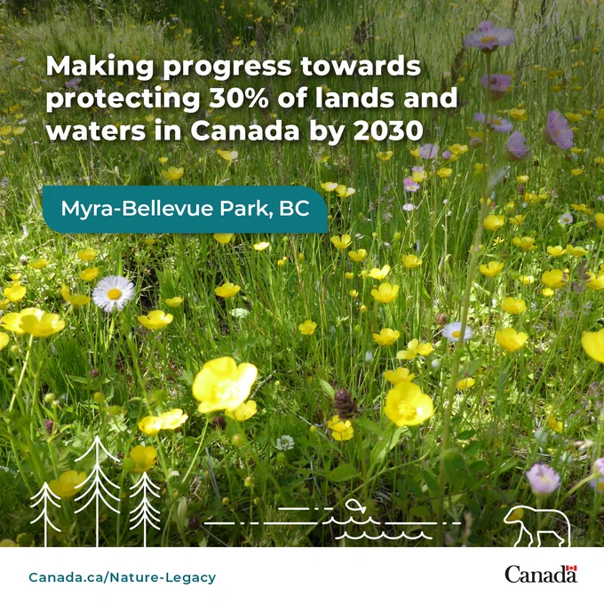 Colourful wildflowers.  Text: Making progress toward protecting 30% of lands and waters in Canada by 2030