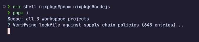 me running the "pnpm install" command and pnpm reporting the following text:
"Verifying lockfile against supply-chain policies (648 entries)..."