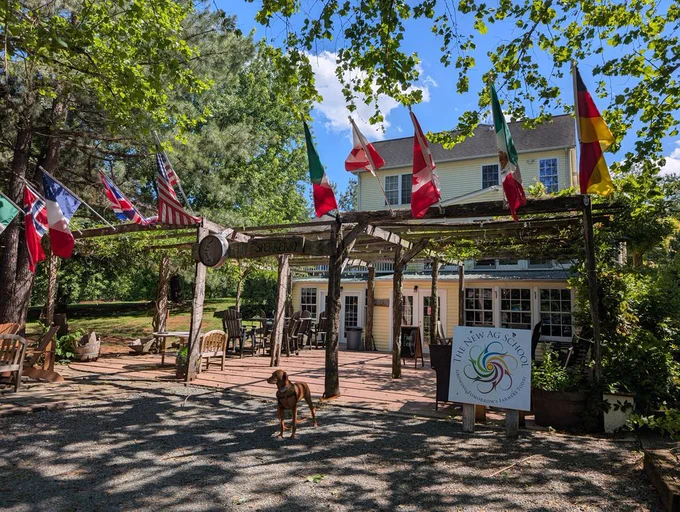 Vizsla dog Yonder standing under a pergola in front of a two-story yellow residential structure festooned with international flags.