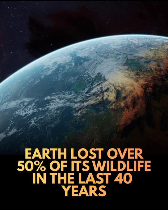A devastating report reveals that Earth lost half of its wild animal populations in just 40 years, driven by unsustainable human consumption and habitat destruction.

A critical report by the World Wide Fund for Nature (WWF) and the Zoological Society of London has delivered a stark wake-up call, revealing that global wildlife populations plummeted by 50% between 1970 and 2010. 

By tracking 10,000 distinct populations across 3,000 species, researchers created the Living Planet Index to measure the catastrophic scale of human impact on the natural world. 

Freshwater ecosystems suffered the most devastating blow, with animal numbers crashing by 75% due to severe pollution, excessive water extraction, and river fragmentation by dams. Land and marine species have fared similarly poorly, with both groups seeing their populations tumble by 40% as habitats are cleared and species are overexploited for food.
