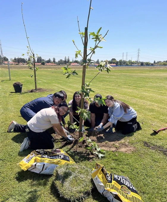 Image of students planting a tree on campus