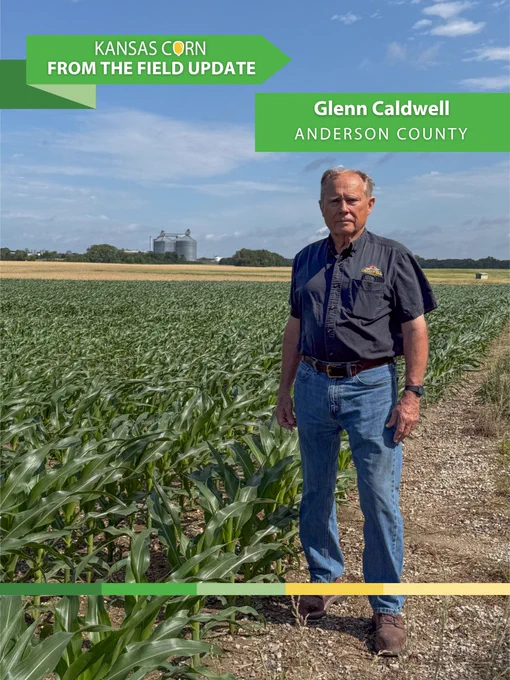 Glenn Caldwell, man, in a lush green cornfield under a blue sky with the Garnett ethanol plant visible in the distance in Anderson County.