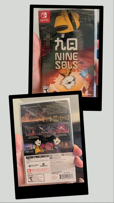 Nine Sols Nintendo Switch Game