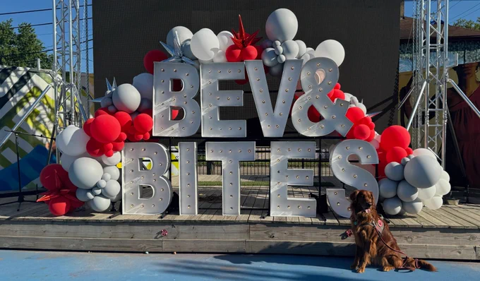 A Buckeye Paws Dog sitting in front of large letters that say 'BEV & BITES"
