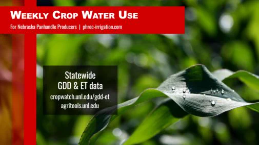 Graphic for weekly crop water use updates in the Nebraska Panhandle, featuring a close-up of a corn leaf with dew and links to statewide GDD and ET data at cropwatch.unl.edu/gdd-et and agritools.unl.edu.
