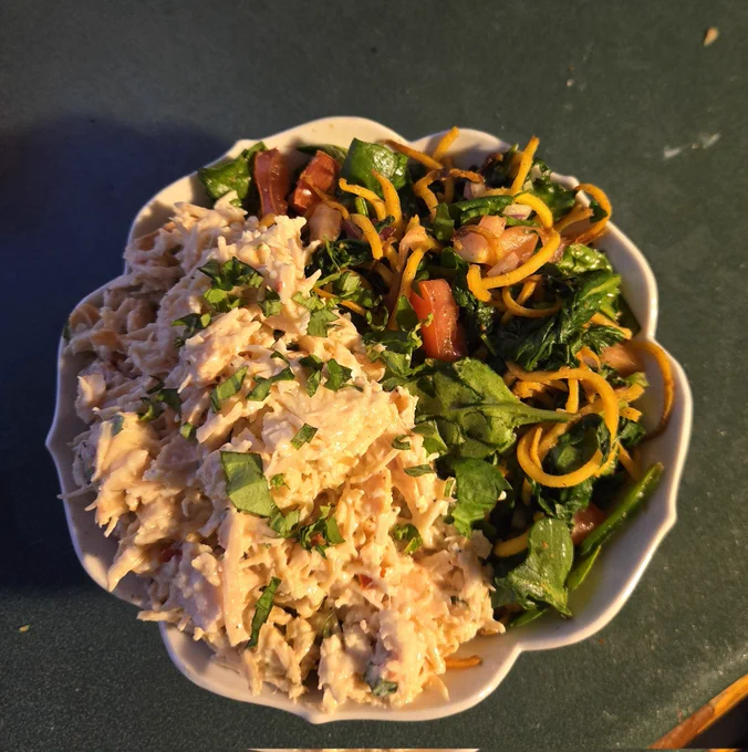 Butternut squash noodles with spinach, tomato, and basil.

shredded chicken with yogurt sauce.

400kcal - 54g protein 