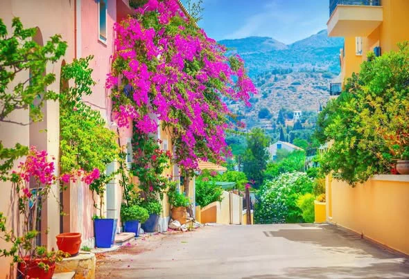 2nts Athens Stay & 7nts Greek & The Med Cruise
Departing 1st Oct 2026 
From £769.00 pp
Flights Included from Stansted
2-night Pre-Cruise Hotel Athens
7-night full-board cruise aboard Sun Princess  
Cruise:
Athens, Piraeus, Bar, Corfu, Sicily, Messina, Naples, Barcelona
Discover ancient wonders, breathtaking coastlines, charming Mediterranean ports, and world-famous cuisine—all in one unforgettable holiday.
Message from further details!
#GreekCruise #MediterraneanCruise #AthensHoliday #SunPrincess #CruiseDeals