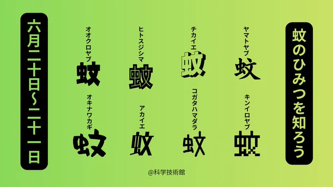 イベント「蚊のひみつを知ろう！」は、入館料のみでお楽しみいただけます。2026年6月20日(土)～21日(日)の2日間限定で開催します。