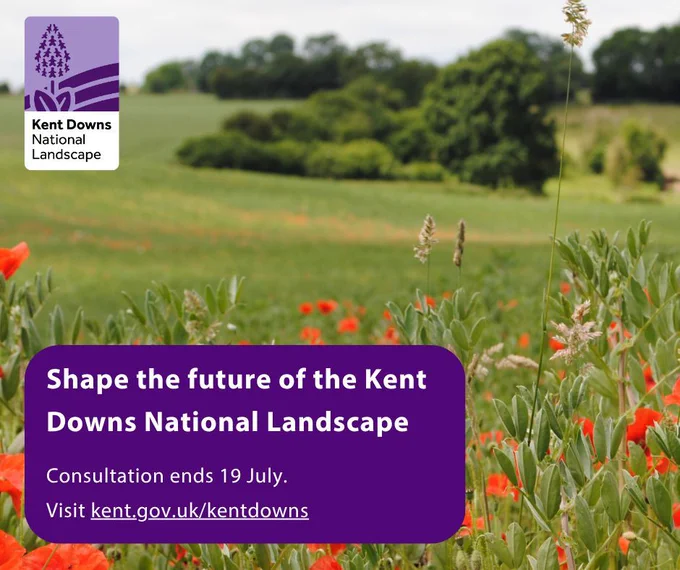 Kent Downs National Landscape
Field with poppies, trees, bushes and grass
Shape the future of the Kent Downs National Landscape
Consultation ends 19 July
Visit kent.gov.uk/kentdowns