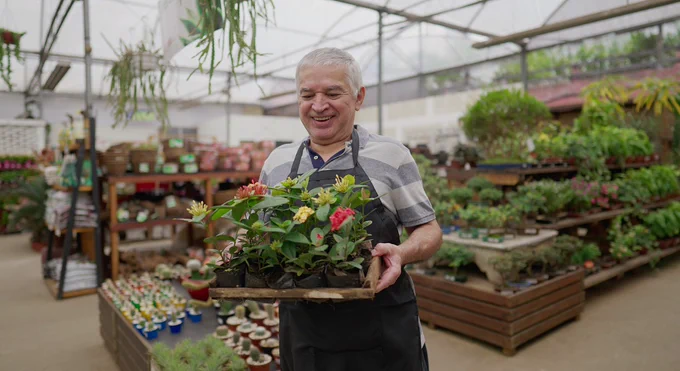 Older man working in a garden centre