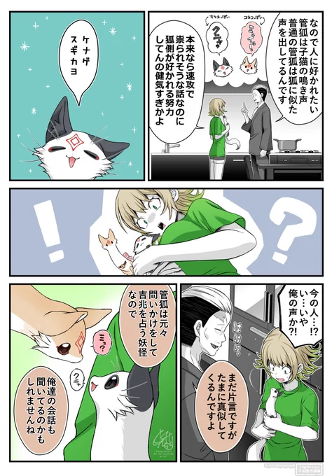 Masakazu: So, the kudagitsune that want to be liked by humans make kitten-like cries,
while ordinary kudagitsune make sounds more similar to a fox.

Iroha: Normally, you’d expect a story like this to end with us getting cursed immediately,
but the fact that the fox spirit is actually trying to be liked is way too adorable.

Nigapon: WAY TOO ADORABLE.

Iroha: That just now…!? W-was that… my voice?!

Masakazu: It’s still only imitating in broken bits, but sometimes it copies us.

Kudagitsune were originally yokai that asked questions to divine good fortune,
so perhaps they can hear our conversations too.



正和：なので人に好かれたい管狐は子猫の鳴き声
普通の管狐は狐に似た声を出してるんです

彩芭：本来なら速攻で祟られそうな話なのに
狐側が好かれる努力してんの健気すぎかよ

ニガポン：ケナゲスギカヨ

彩芭：今の人…!?い…いや俺の声か?!

正和：まだ片言ですがたまに真似してくるんですよ

管狐は元々問いかけをして吉兆を占う妖怪なので
俺達の会話も聞いてるのかもしれませんね