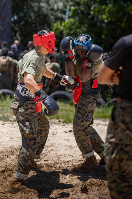 U.S. Marine Corps recruits with India Company, 3rd Recruit Training Battalion, take part in body sparring on Marine Corps Recruit Depot Parris Island, S.C., June 4, 2026. Recruits participate in body sparring, pugil sticks, and a bayonet assault course as part of their training to become Marines. (U.S. Marine Corps photo by Lance Cpl. Nicholas White)\n\n