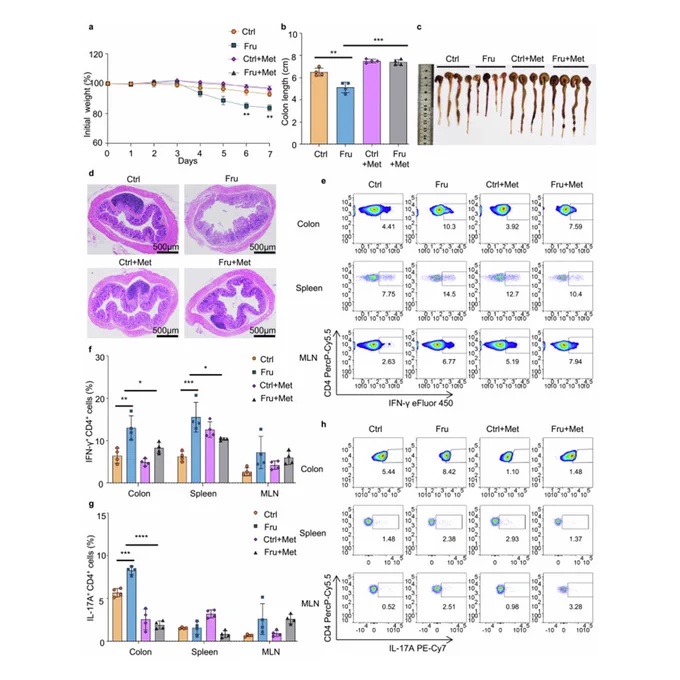 High fructose consumption aggravates inflammation by promoting effector T cell generation via inducing metabolic reprogramming
