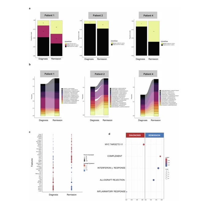 Bone marrow microenvironment in autoimmune hemolytic anemia: from trephine biopsy to single cell RNA sequencing
