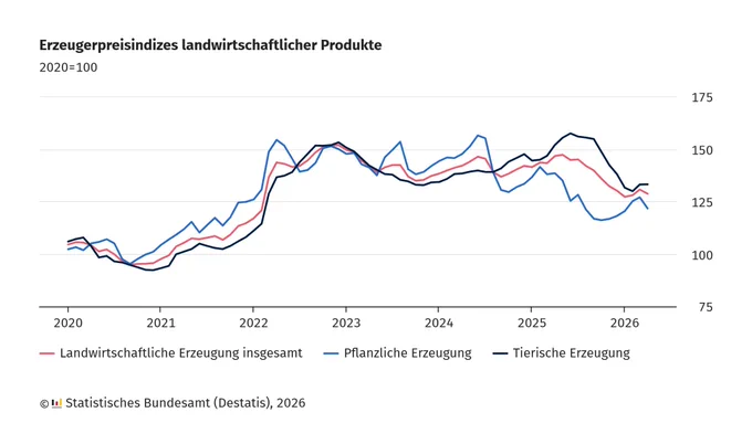Infografik mit Liniendiagramm zum Erzeugerpreisindex landwirtschaftlicher Produkte von 2020 bis 2026. Drei unterschiedlich farbige Linien zeigen die Entwicklung der Preisindizes für landwirtschaftliche Erzeugung insgesamt, pflanzliche Erzeugung und tierische Erzeugung. Die vertikale Achse reicht von 75 bis 175, die horizontale Achse zeigt die Jahre 2020 bis 2026. Alle drei Linien steigen ab 2021 an, erreichen zwischen 2022 und 2023 ihren Höchststand und sinken danach wieder ab. Die Linie für pflanzliche Erzeugung schwankt stärker als die anderen beiden. Legende und Quellenangabe sind am unteren Rand platziert.