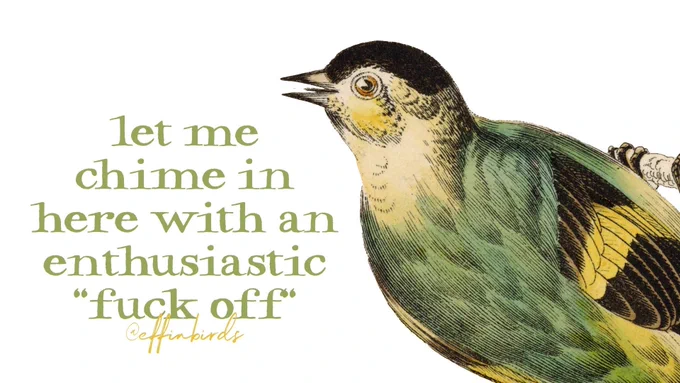 A painting of a bird next to the words "let me chime in here with an enthusiastic "fuck off""