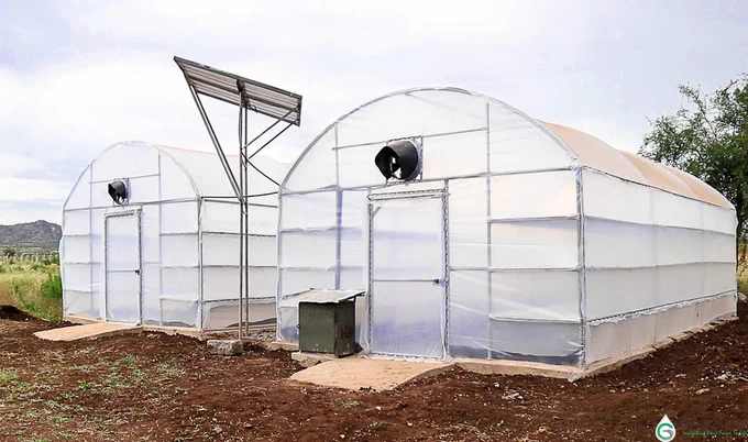 Solar Drier in Bulo - Butambala district 
