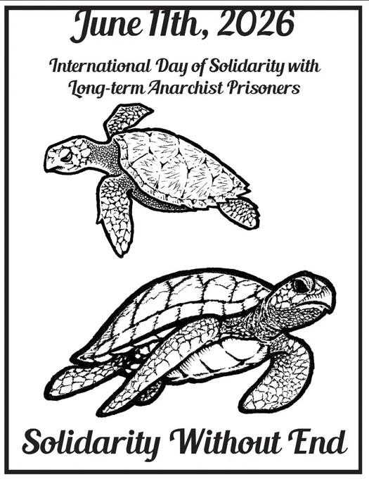 Black-and-white poster with the text “June 11th, 2026” at the top, followed by “International Day of Solidarity with Long-term Anarchist Prisoners.” Two illustrated sea turtles appear in the center, one smaller turtle above a larger turtle. At the bottom, large stylized text reads “Solidarity Without End.” The poster has a simple rectangular border and a hand-drawn aesthetic.