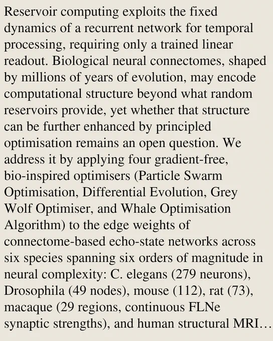 Reservoir computing exploits the fixed dynamics of a recurrent network for temporal processing, requiring only a trained linear readout. Biological neural connectomes, shaped by millions of years of evolution, may encode computational structure beyond what random reservoirs provide, yet whether that structure can be further enhanced by principled optimisation remains an open question. We address it by applying four gradient-free, bio-inspired optimisers (Particle Swarm Optimisation, Differential Evolution, Grey Wolf Optimiser, and Whale Optimisation Algorithm) to the edge weights of connectome-based echo-state networks across six species spanning six orders of magnitude in neural complexity: C. elegans (279 neurons), Drosophila (49 nodes), mouse (112), rat (73), macaque (29 regions, continuous FLNe synaptic strengths), and human structural MRI connectivity (83 parcels). Each connectome is evaluated on four canonical reservoir computing benchmarks: Memory Capacity (MC), Lorenz attractor