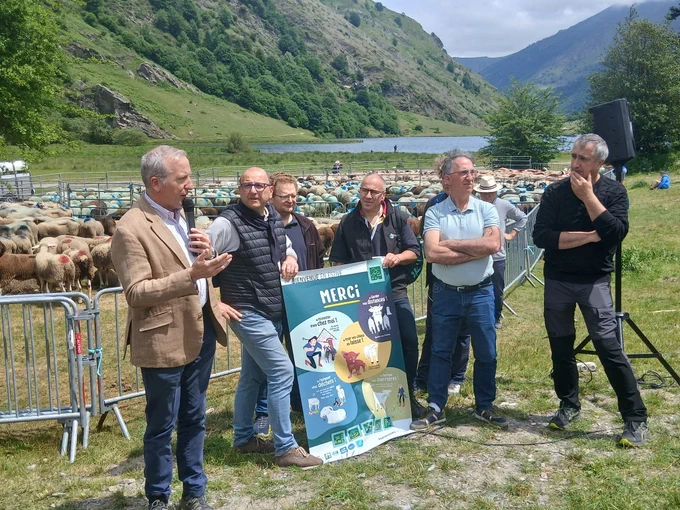 Un groupe d'hommes pose en montagne lors d'un rassemblement pastoral devant un troupeau de moutons. M. le préfet parle au micro pendant que deux personnes tiennent une affiche de sensibilisation intitulée "Merci / Bienvenue en estive".