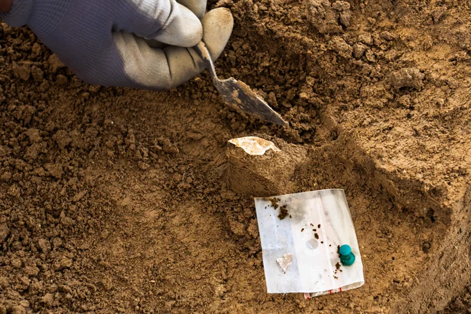 Silex taillé en cours de découverte © Hamid Azmoun, Inrap
