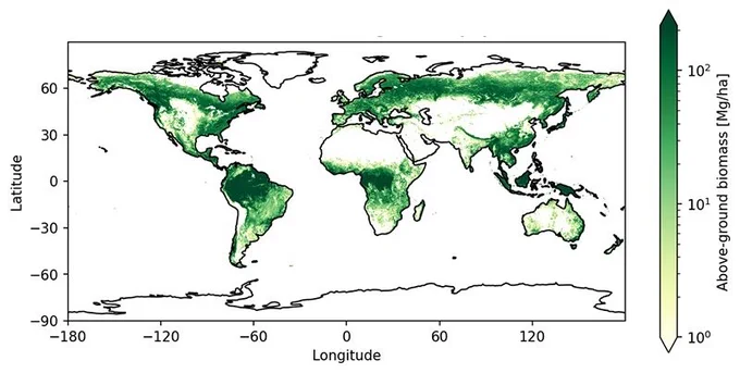 Global Above-Ground Biomass estimates for 2024, derived from the the CCI Biomass v7 product