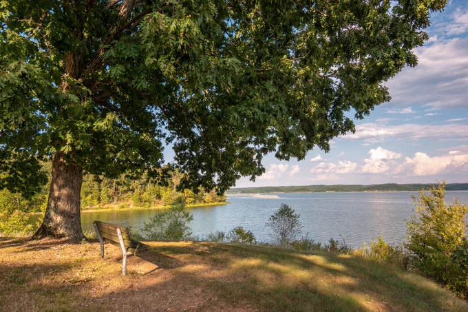 A tranquil lakeside scene features a large tree casting shade over a grassy area with a solitary bench. The background showcases calm water under a blue sky with scattered clouds.