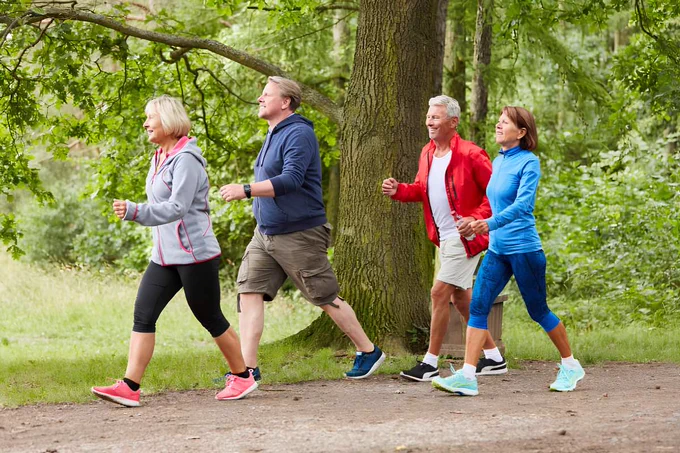 A diverse group of four mature adults briskly power walking together along a scenic, tree-lined dirt path in a park for heart health fitness.