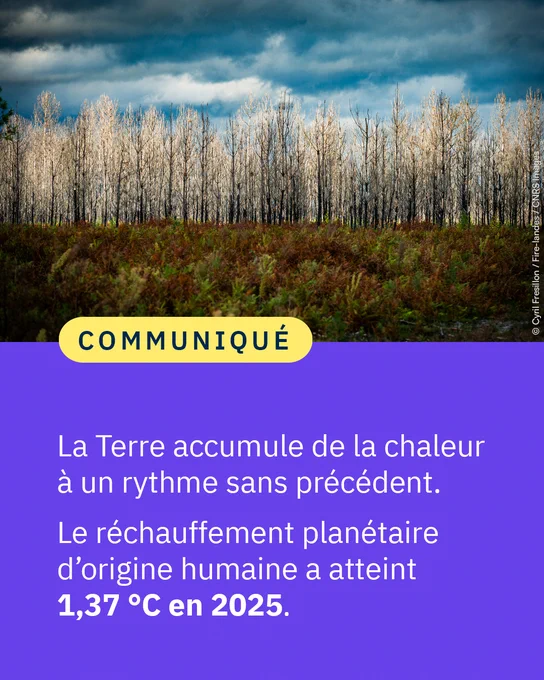 Communiqué "La Terre accumule de la chaleur à un rythme sans précédent. Le réchauffement planétaire d’origine humaine a atteint 1,37 °C en 2025."
Crédit : © Cyril FRESILLON / Fire-landes / CNRS Images