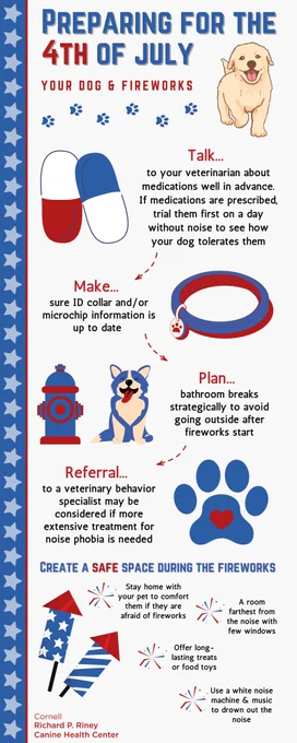 Preparing for the 4th of July info graphic. 