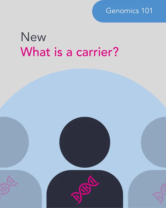 Black illustration of a person's silhouette with a pink DNA molecule on their chest. Text above reads, "New: What is a carrier?". Light blue tab in top right hand corner reads, "Genomics 101," indicating blog type. 