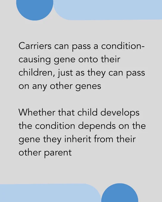 Text on graphic reads: "Carriers can pass a condition-causing gene onto their children, just as they can pass on any other genes 

Whether that child develops the condition depends on the gene they inherit from their other parent"